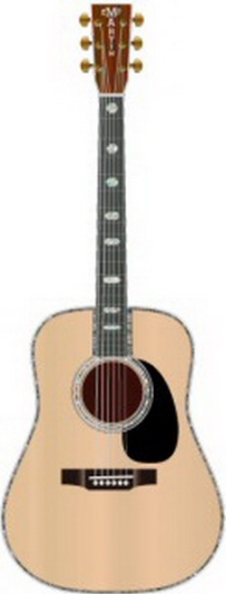 Martin D45