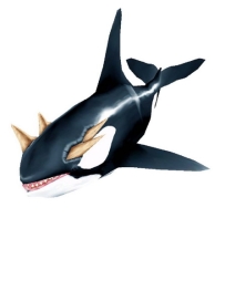 Orca Papercraft