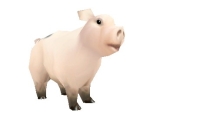 World Of Warcraft Pig (mr  Wiggle)